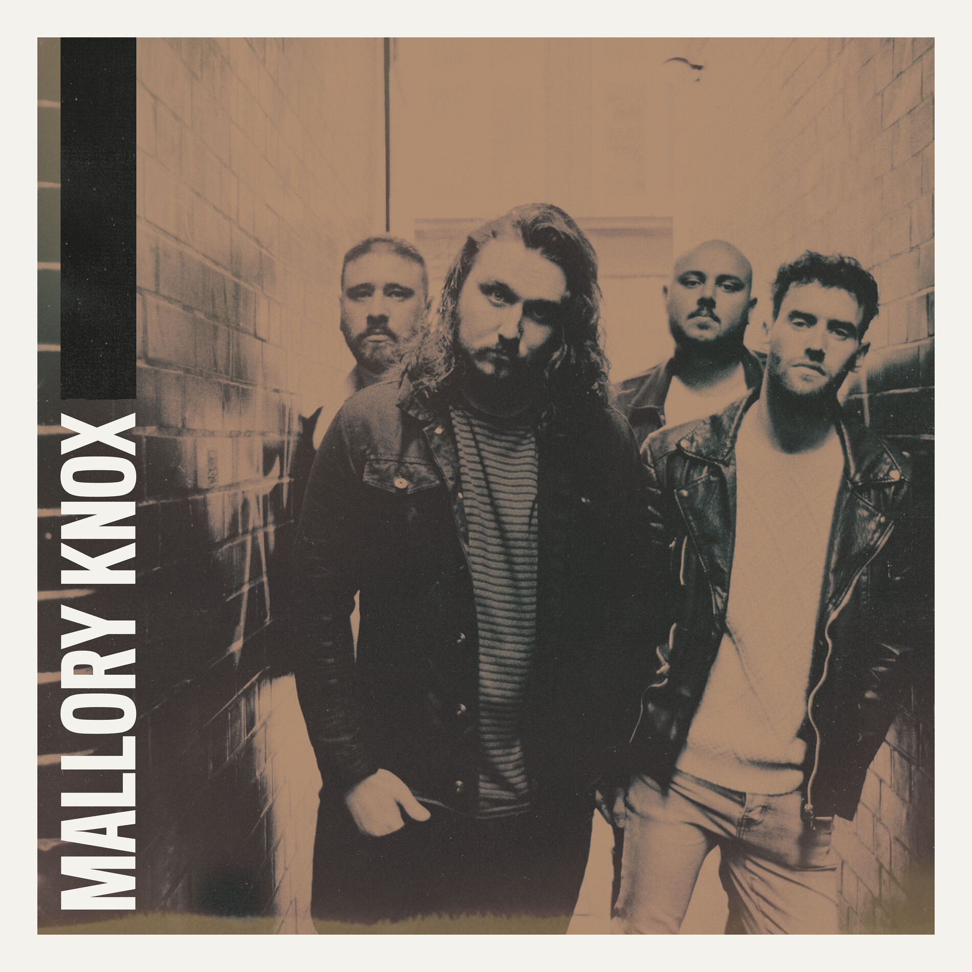 Album cover of White Lies
