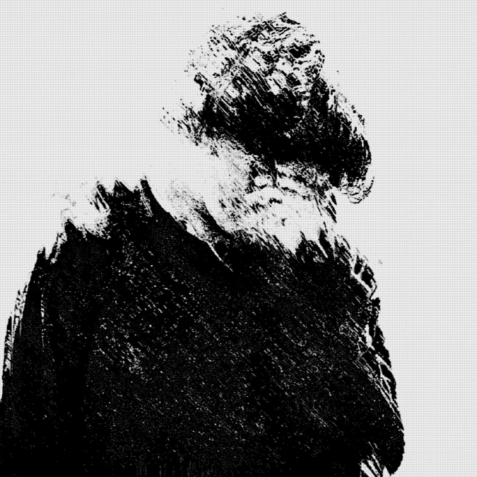 Album cover of nocturne