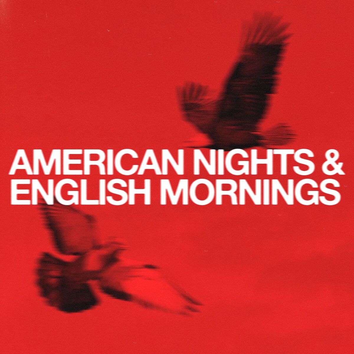 Album cover of American Nights & English Mornings
