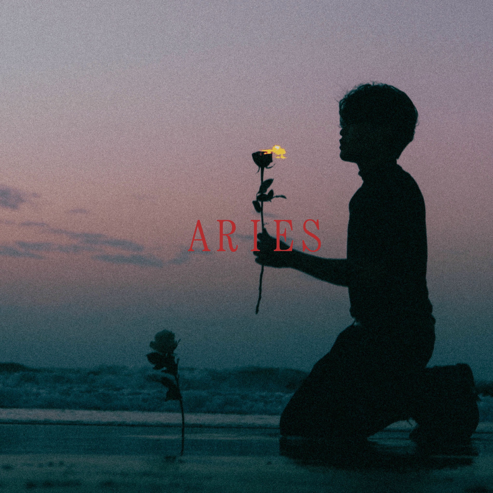 Album cover of Aries