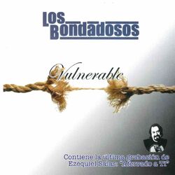 Cover of Vulnerable