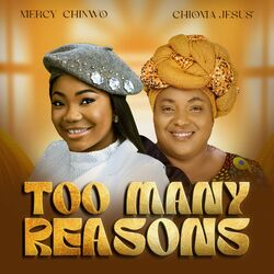 Cover of Too Many Reasons