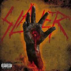 Cover of Christ Illusion