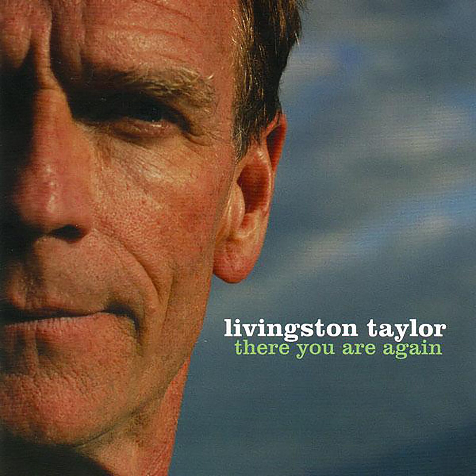 Album cover of There You Are Again