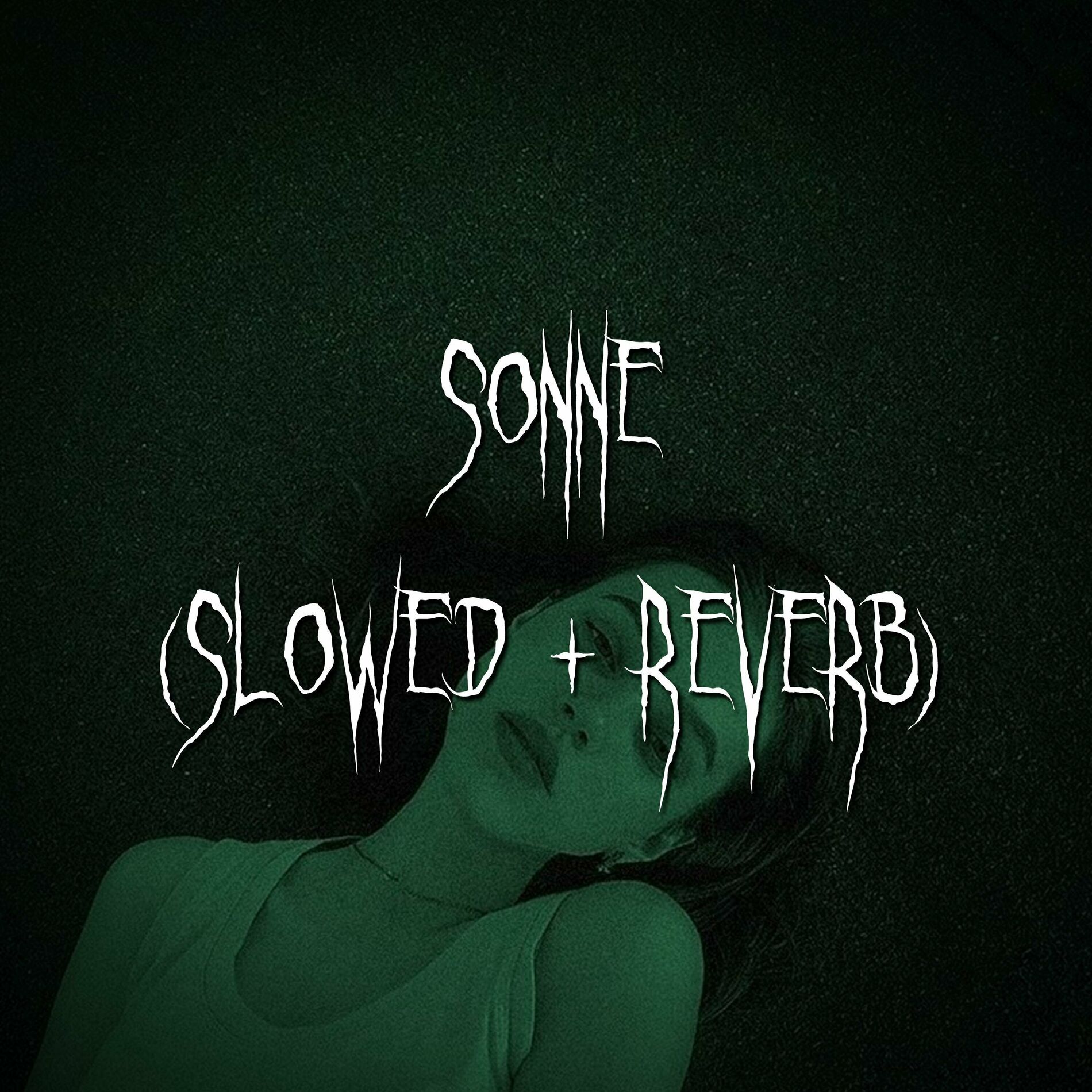 Album picture of sonne (slowed + reverb)
