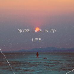 more life in my life