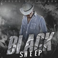 Blacksheep