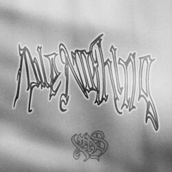 Cover of Du e Nothing
