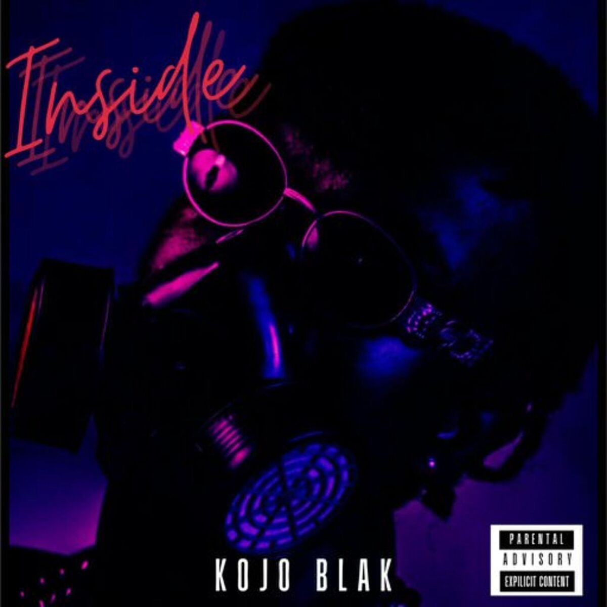 Album cover of Inside