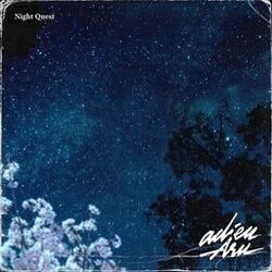 Night Quest