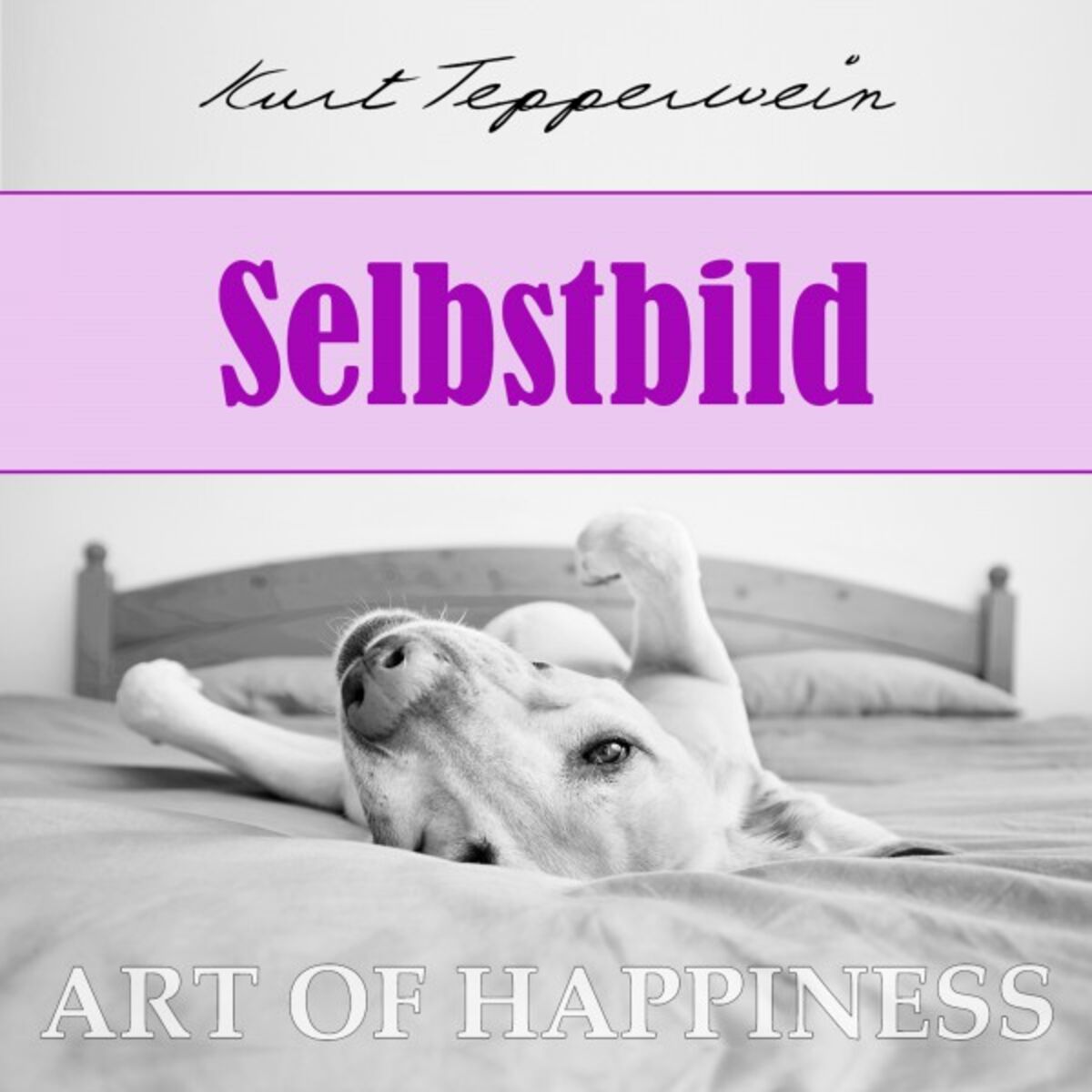 Album cover of Art of Happiness: Selbstbild