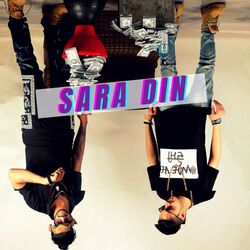 Cover of Saradin
