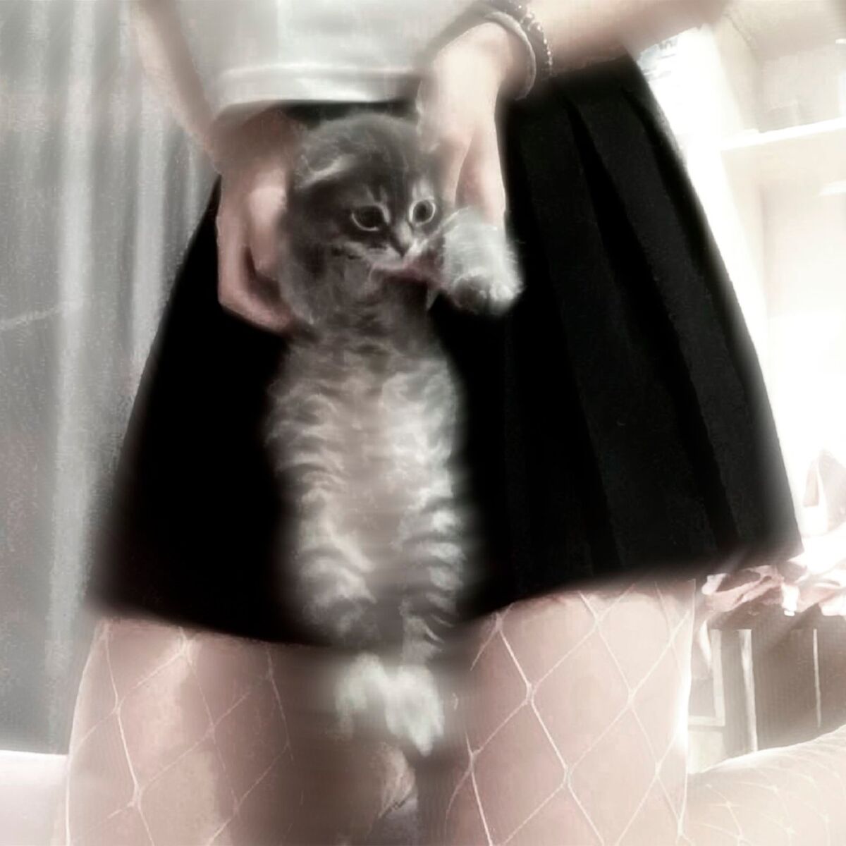 Album cover of Missing Grey Cat