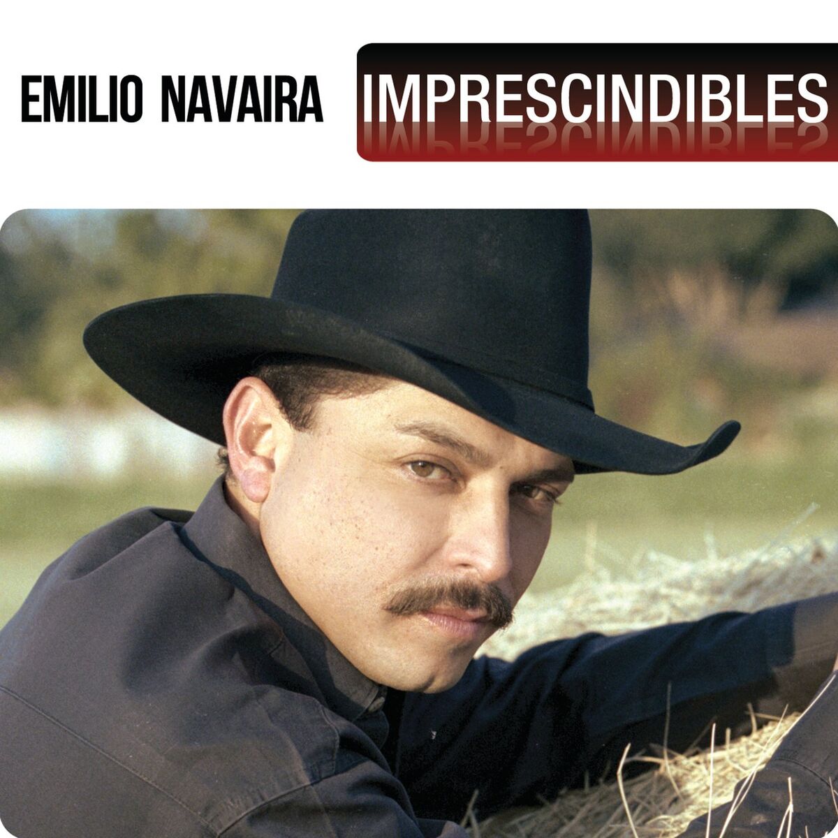 Album cover of Imprescindibles
