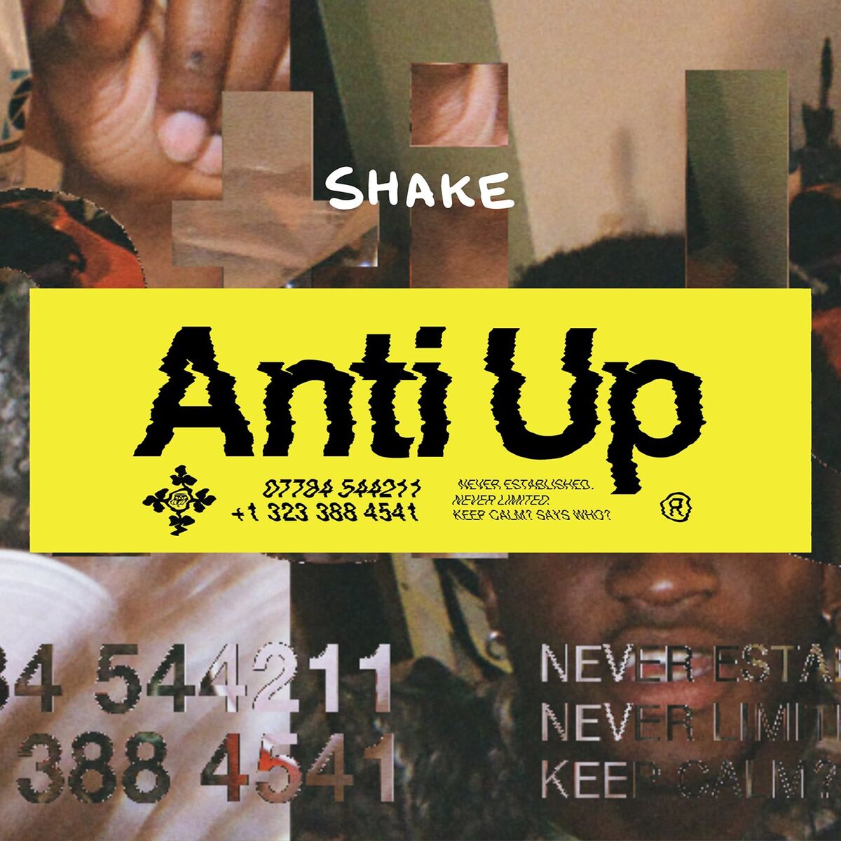 Album cover of Shake
