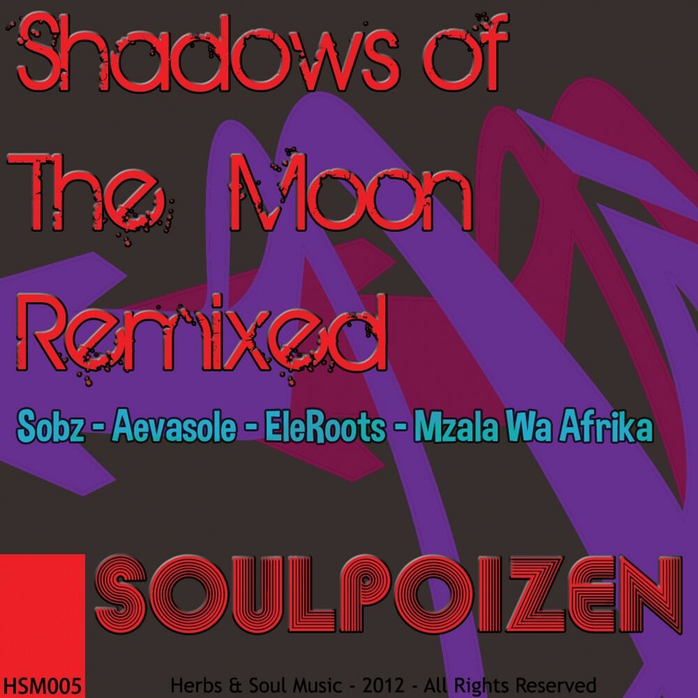 Picture of Shadows of the Moon (Remixed)