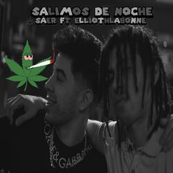 Cover of Salimos de Noche