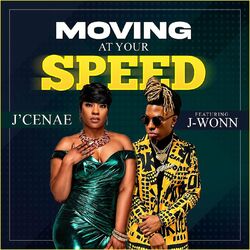 Cover of Moving at Your Speed