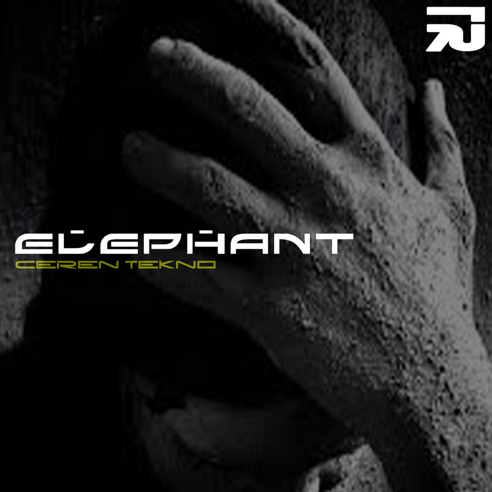 Picture of Elephant