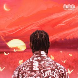 Cover of PICK YOURSELF UP
