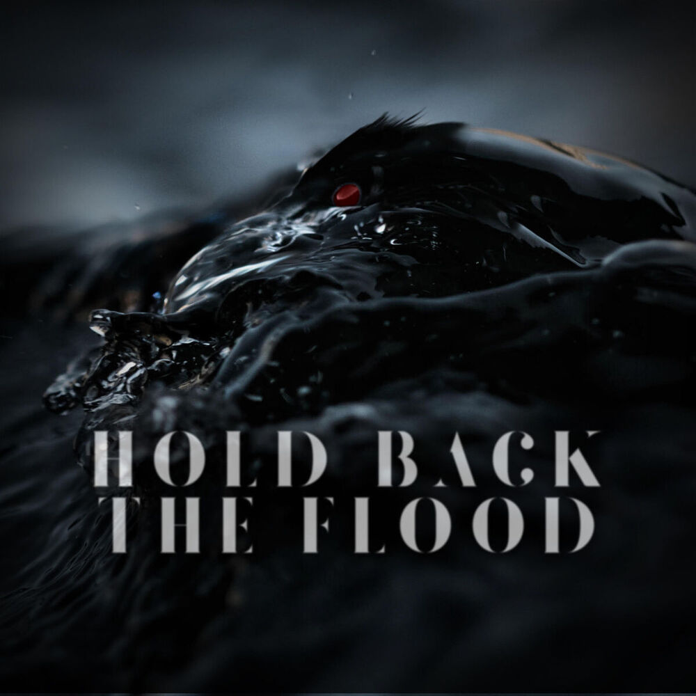 Picture of Hold Back the Flood