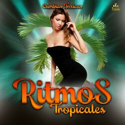 Cover of Cumbias Toxicas