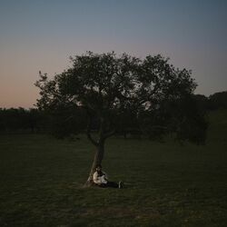 Cover of Sundays