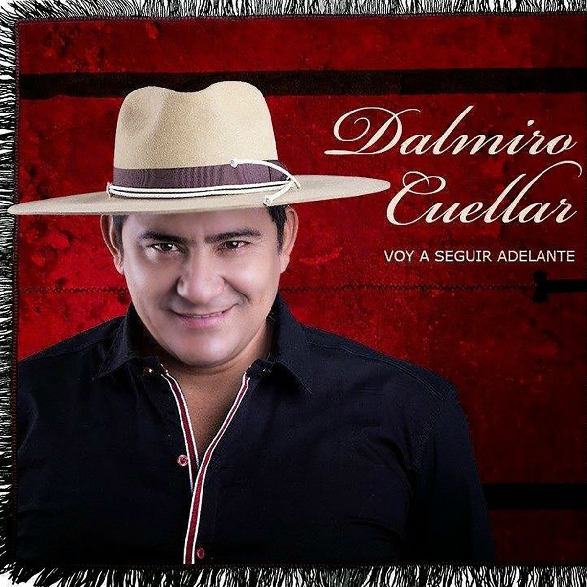 Album cover of Voy a Seguir Adelante