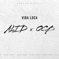 Cover of Vida Loca