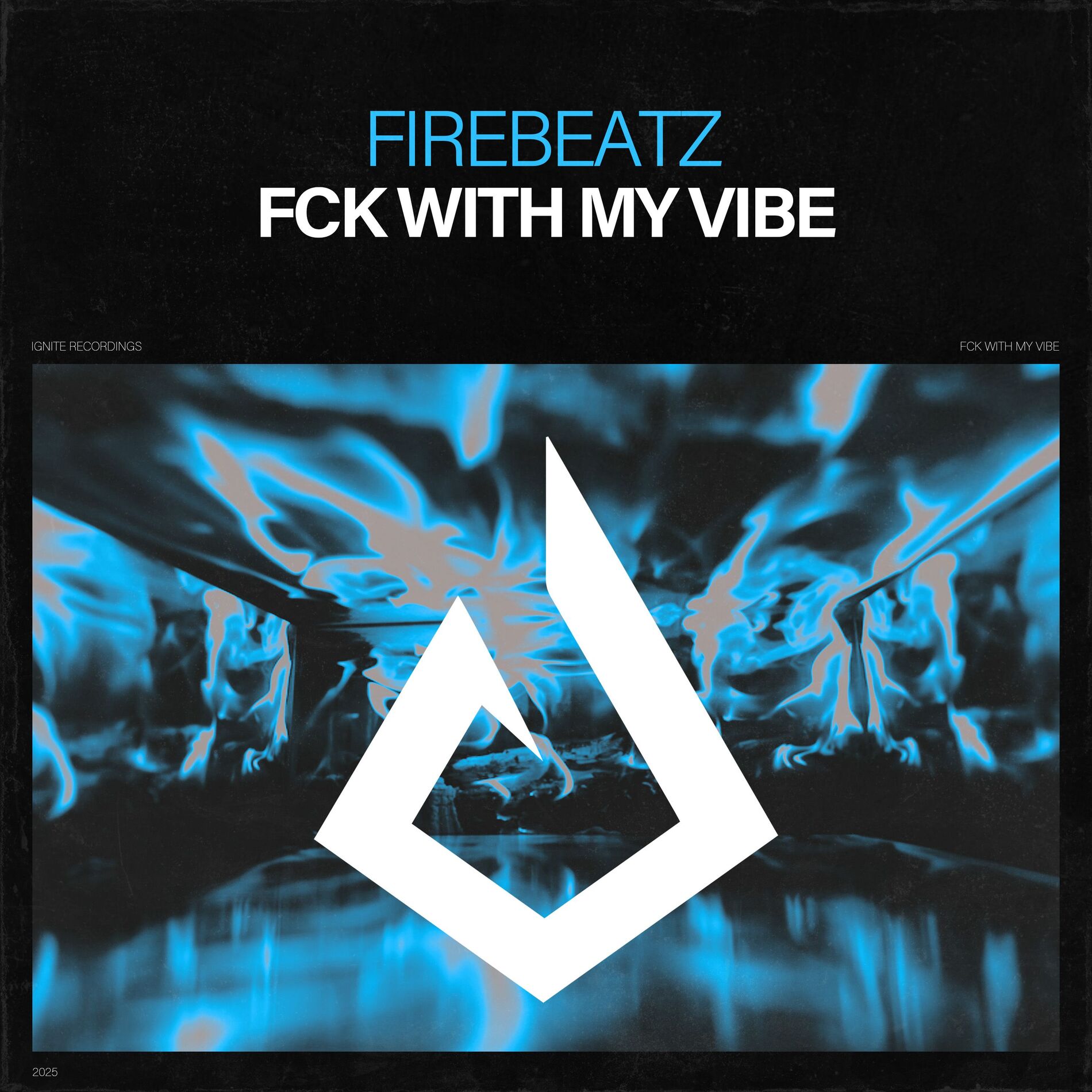 Album cover of Fck with My Vibe