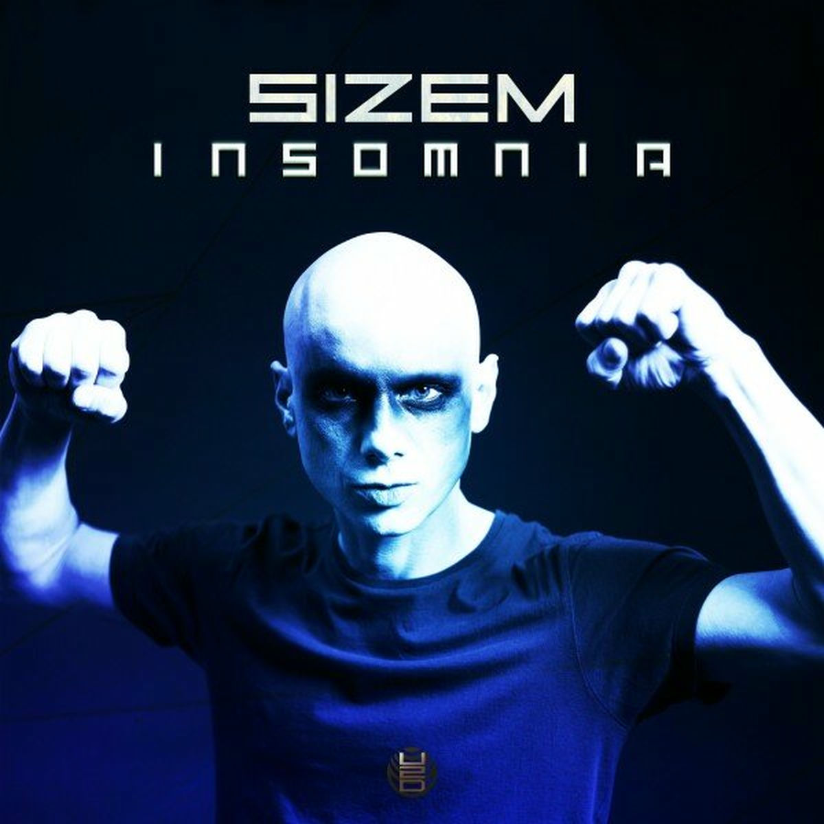 Album cover of Insomnia