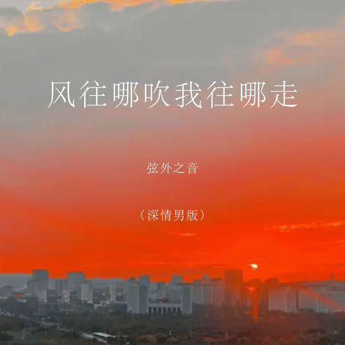 风往哪吹我往哪走 (深情男版)