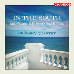 Cover of In the South