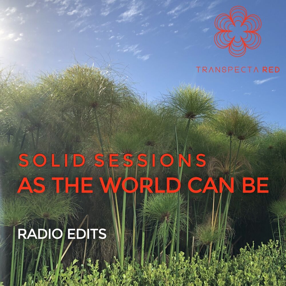 Picture of As the World Can Be (Radio Edits)