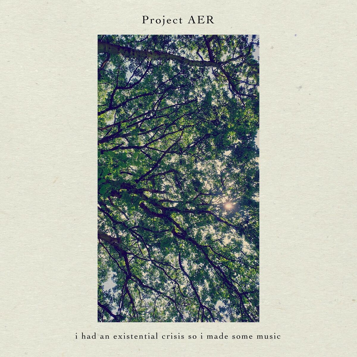 Album cover of i had an existential crisis so i made some music