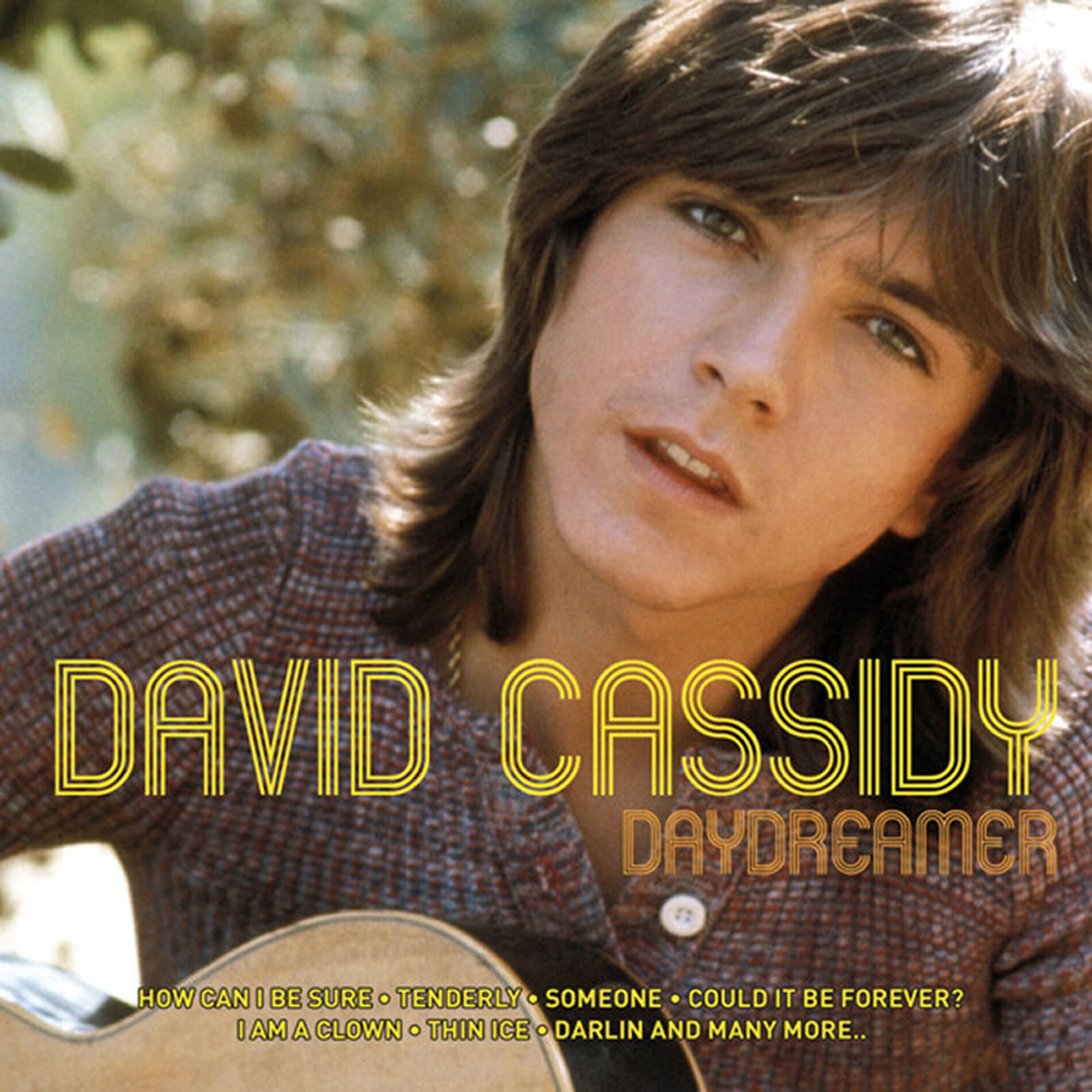 Album cover of Daydreamer