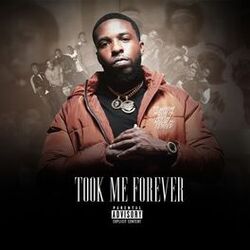 Cover of Took Me Forever