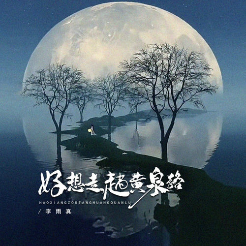 好想走趟黄泉路 (DJ AMING版)