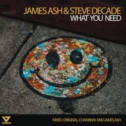 Cover of What You Need