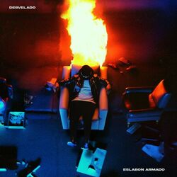 Cover of DESVELADO