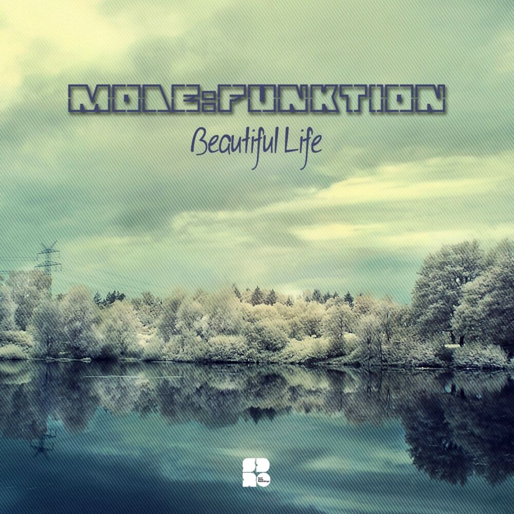 Picture of Beautiful Life