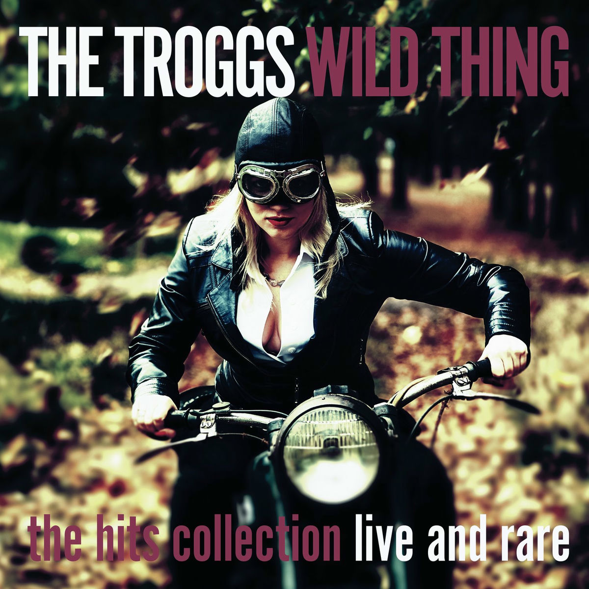 Album cover of Wild Thing - the Hits Collection - Live and Rare
