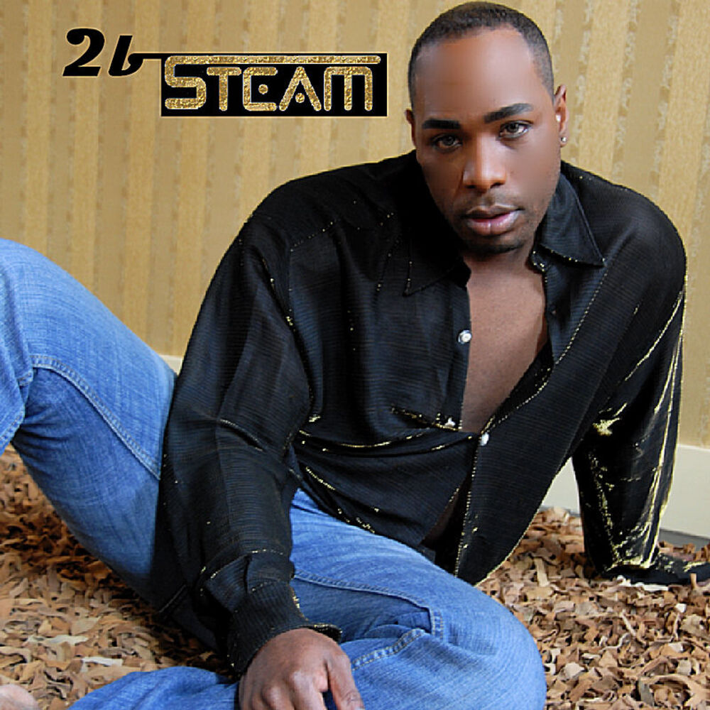 Picture of 2bsteam