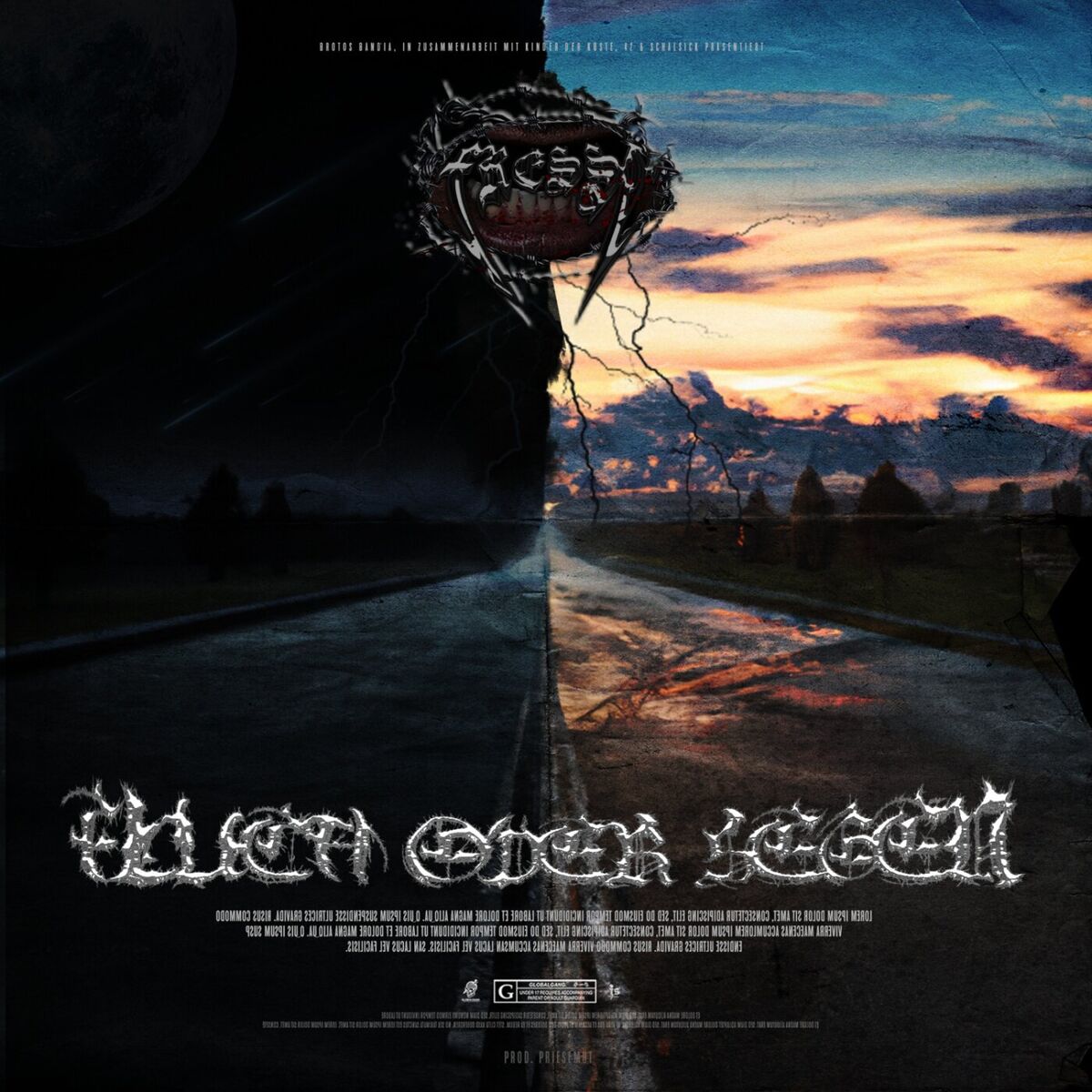 Album cover of Fluch oder Segen