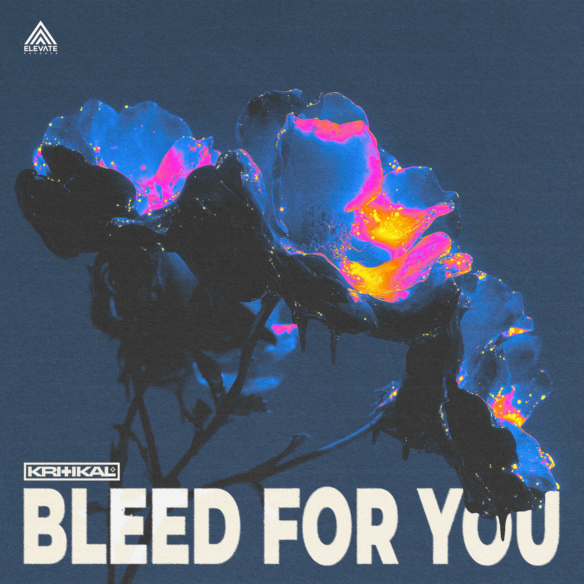 Album cover of Bleed For You