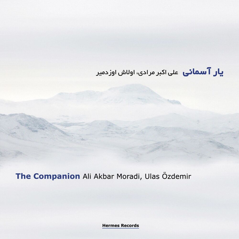 Picture of The Companion