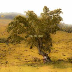 Cover of Nada Tem Valor