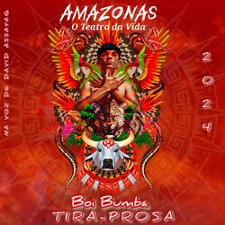 Cover of Amazonas, o Teatro da Vida