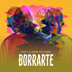 Cover of Borrarte