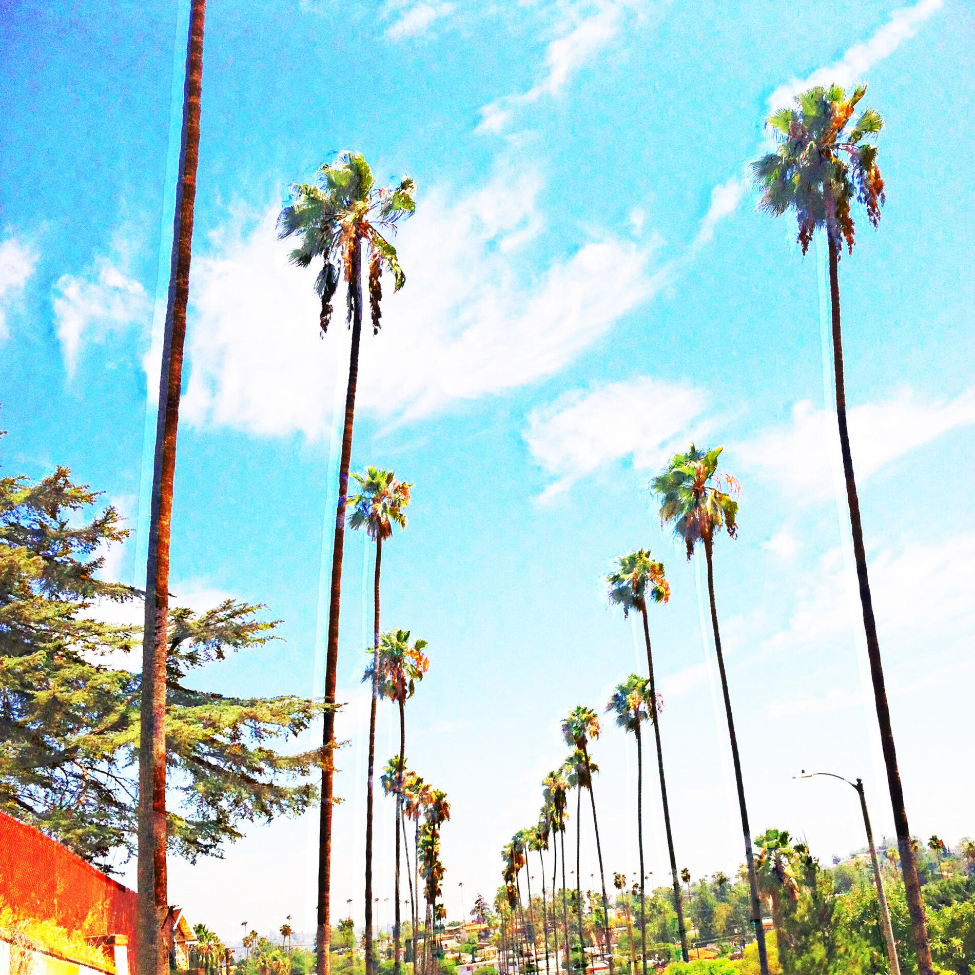 Album cover of Palisades